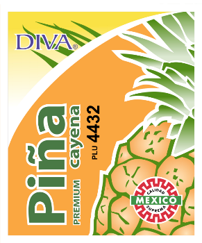 Piña Cayena – Divatropical s.a de c.v.